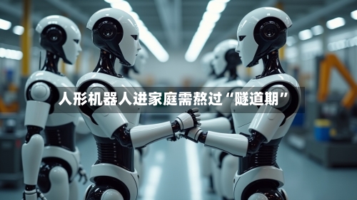 人形机器人进家庭需熬过“隧道期”-第2张图片