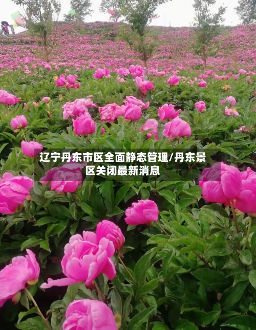 辽宁丹东市区全面静态管理/丹东景区关闭最新消息-第2张图片