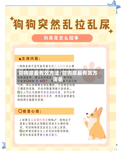防狗尿最有效方法/防狗尿最有效方法是-第3张图片