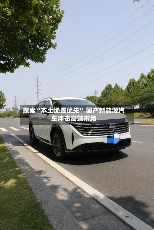 探索“本土场景优先” 国产新能源汽车冲击高端市场